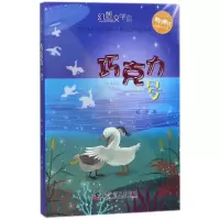 音像巧克力一号(少儿美绘版)/阳光童书幻想文学丛书赵华