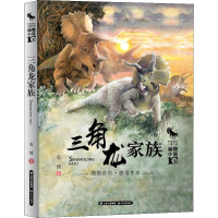 音像三角龙家族袁博