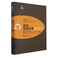 音像视觉信息处理研究前沿査红彬;刘成林;吴思