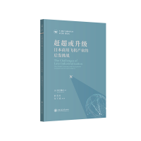 音像赶或升:日本商用飞机产业的后发挑战(日)木村诚志