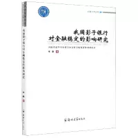 音像我国影子银行对金融稳定的影响研究/卓越学术文库|责编:陈思
