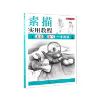 音像素描实用教程李胜利