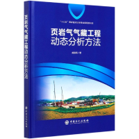 音像页岩气气藏工程动态分析方法(精)胡德高