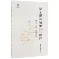音像量子规范场论的解释(理论实验数据分析)/东吴哲学文丛李继堂