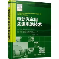 音像电动汽车用电池技术