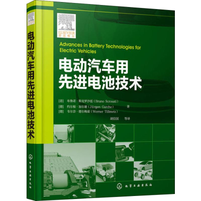 音像电动汽车用电池技术