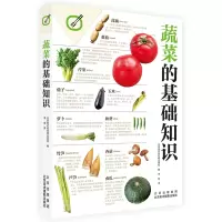 音像蔬菜的基础知识李享编;日本株式会社枻出版社