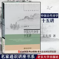 音像中国古代诗学十五讲王先霈