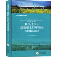 音像强风作用下高铁桥上行车安全分析理论与应用何旭辉,邹云峰