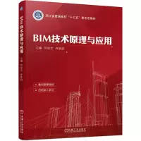 音像BIM技术原理与应用成 乔梦甜