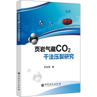 音像页岩气藏CO2干法压裂研究罗向荣
