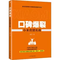 音像碑裂 小米营销实战张岩