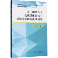 音像真三轴条件下受载煤体损伤与瓦斯渗流耦合机理研究刘佳佳