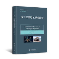 音像水下沉船遗址形成过程马修·E.基思