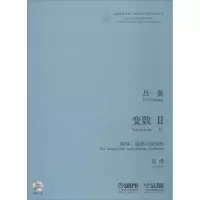 音像变数 2 胡琴、琵琶语民乐队作曲:吕 黄