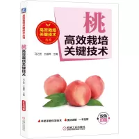 音像桃高效栽培关键技术马胜 越辉