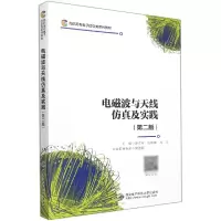 音像电磁波与天线及实践(第二版)谭立容