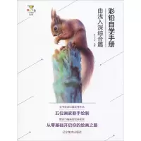 音像彩铅自学手册 由浅入深综合篇彩艺飞鱼