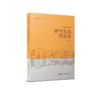 音像岁月生出的杂念/徽风京韵散文系列洪鸿