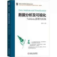 音像数据分析及可视化——Tableau原理与实践杨尊琦 主编
