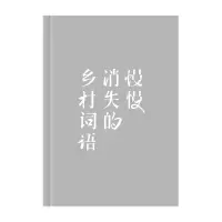 音像慢慢消失的乡村词语尹学芸