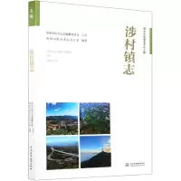音像涉村镇志
