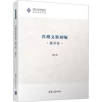 音像肖鹰文集初编 批评卷肖鹰