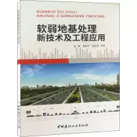 音像软弱地基处理新技术及工程应用连峰,崔新壮,赵延涛 等