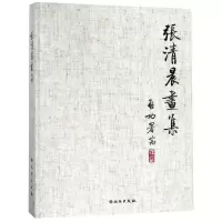 音像张清晨画集张墨缘