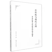 音像在传统与现代之间:中华法律文化转型的地方视角里赞 等