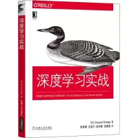 音像深度学习实战(美)杜威·奥辛格(Douwe Osinga)