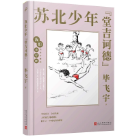 音像苏北少年堂吉诃德(精装珍藏版)(精)/我们小时候飞宇