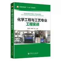 音像化学工程与工艺专业工程实训莫桂娣 洪晓瑛 刘兰 主编