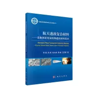 音像航天透波复合材料——先驱体转化氮化物透波材料技术李斌 等