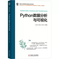 音像Python数据分析与可视化吕云翔 姚泽良 李伊琳 等编著