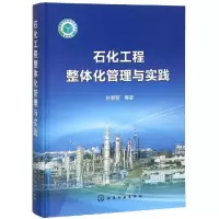 音像石化工程整体化管理与实践孙丽丽 等 著