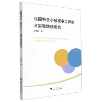 音像我国特色小镇竞争力评价与实现路径研究辛金国