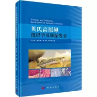 音像贝氏高原鳅组织学及胚胎发育王志坚 等