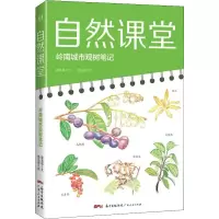 音像自然课堂 岭南城市观树笔记廖浩斌