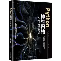 音像Python神经网络入门与实战王凯