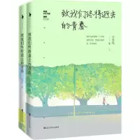音像致我们终将逝去的青春辛夷坞 著