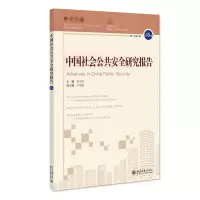 音像中国社会公共安全研究报告·8辑张明军