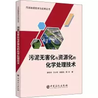 音像污泥无害化与资源化的化学处理技术廖传华 等