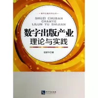 音像数字出版产业理论与实践张新华