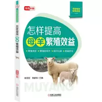 音像怎样提高母羊繁殖效益杨菲菲,熊家军