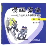 音像漫画安全:电力生产人身事故案例集(第2版)李小勤