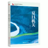 音像夏日机关(中国专业作家作品典藏文库·石钟山卷)石钟山