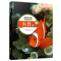 音像鱼类(下)西班牙Sol90公司
