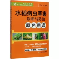 音像水稻病虫草害诊断与防治原色图谱不详