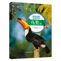 音像鸟类(下)西班牙Sol90公司